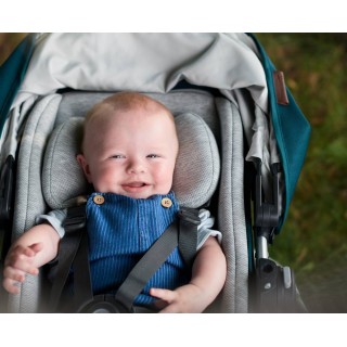 Reductor-SnugSeat UPPAbaby para bebés