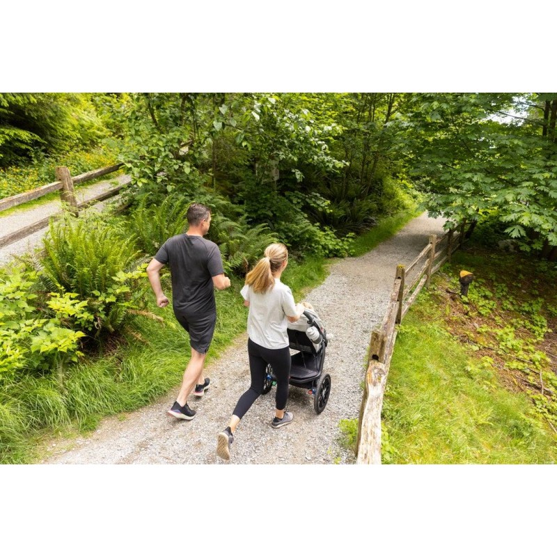 Silla de paseo UPPAbaby RIDGE Jake