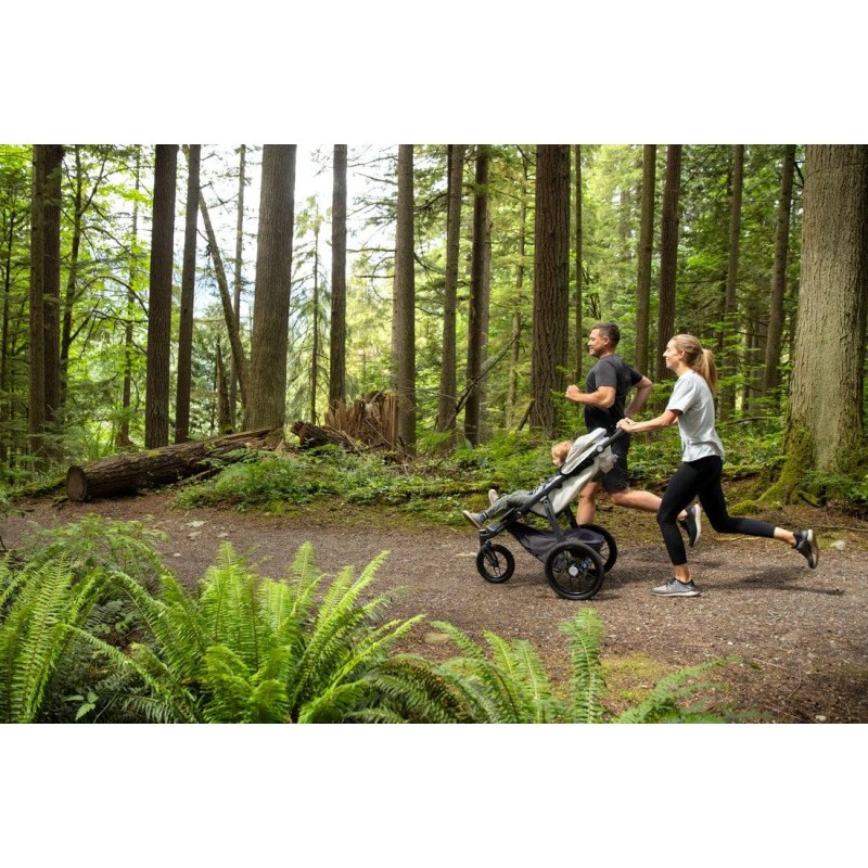 Silla de paseo UPPAbaby RIDGE Jake