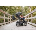 Silla de paseo UPPAbaby RIDGE Reggie