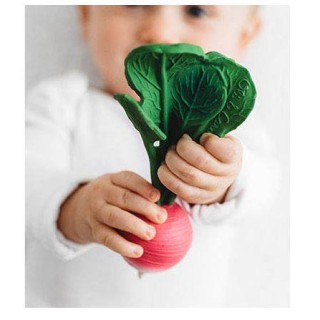 Mordedor  juguete sensorial Brucci the Broccoli Mordedor  juguete sensorial Brucci the Broccoli