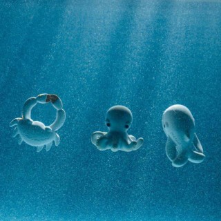 Juguete de baño y mordedor Orlando the Octopus