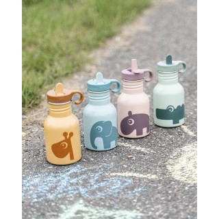 Botella ligera de acero inoxidable Ozzo Powder