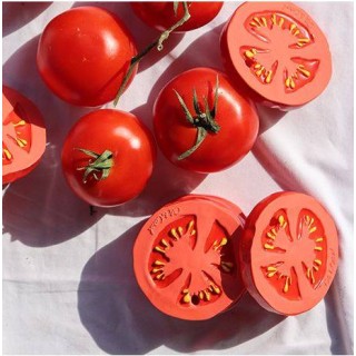 Mordedor juguete sensorial Brucci the Broccoli Mordedor juguete sensorial Brucci the Broccoli