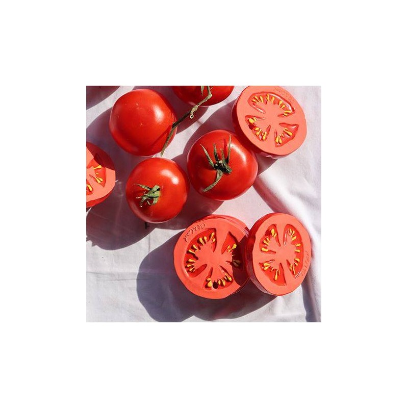 Mordedor juguete sensorial Brucci the Broccoli Mordedor juguete sensorial Brucci the Broccoli