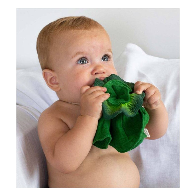 Mordedor-doudou Kendall the kale mini