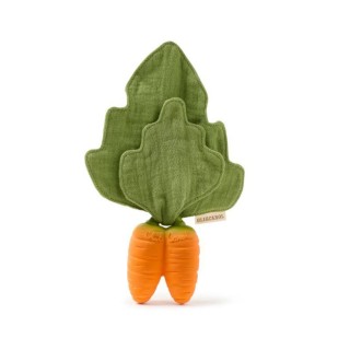 Mordedor-doudou Cathy The Carrot mini 123