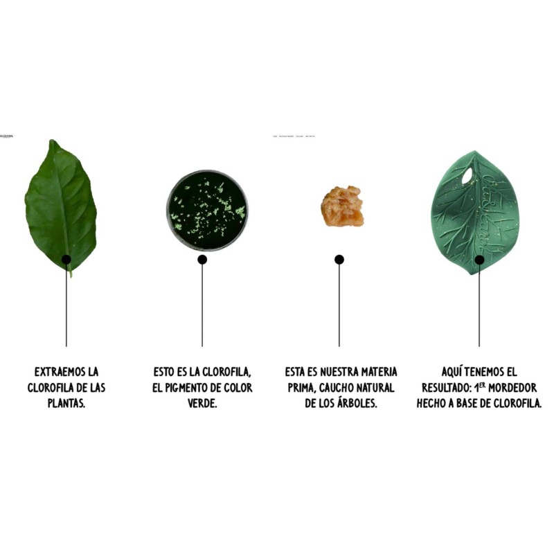 Mordedor Hoja de Clorofila-Leaf