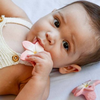 Mordedor- chupete juguete sensorial Bella the Flower Mordedor- chupete juguete sensorial Bella the Flower