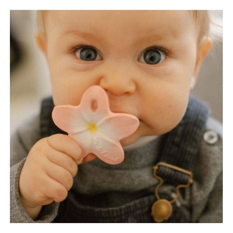 Mordedor- chupete juguete sensorial Bella the Flower Mordedor- chupete juguete sensorial Bella the Flower
