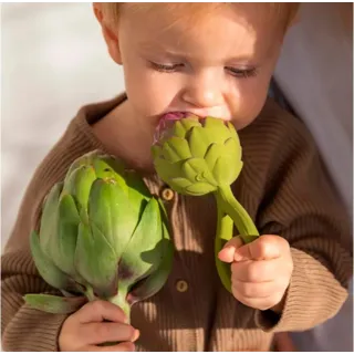 Mordedor sonajero Artichoke