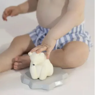 Juguete de baño Oso Polar Juguete de baño Oso Polar