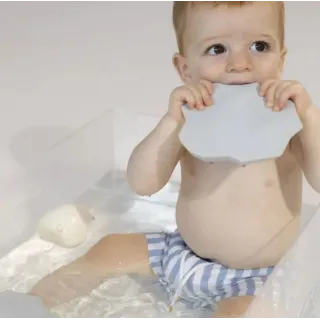 Juguete de baño Pingüino Juguete de baño Pingüino