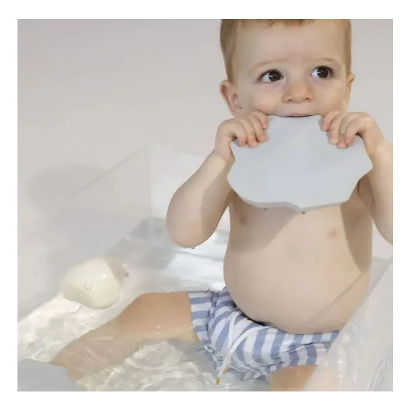 Juguete de baño Pingüino Juguete de baño Pingüino