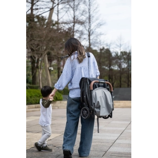 Silla de paseo ligera MINU V3 Savannah