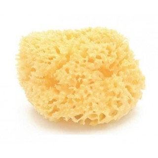 Esponja natural Honeycomb grande